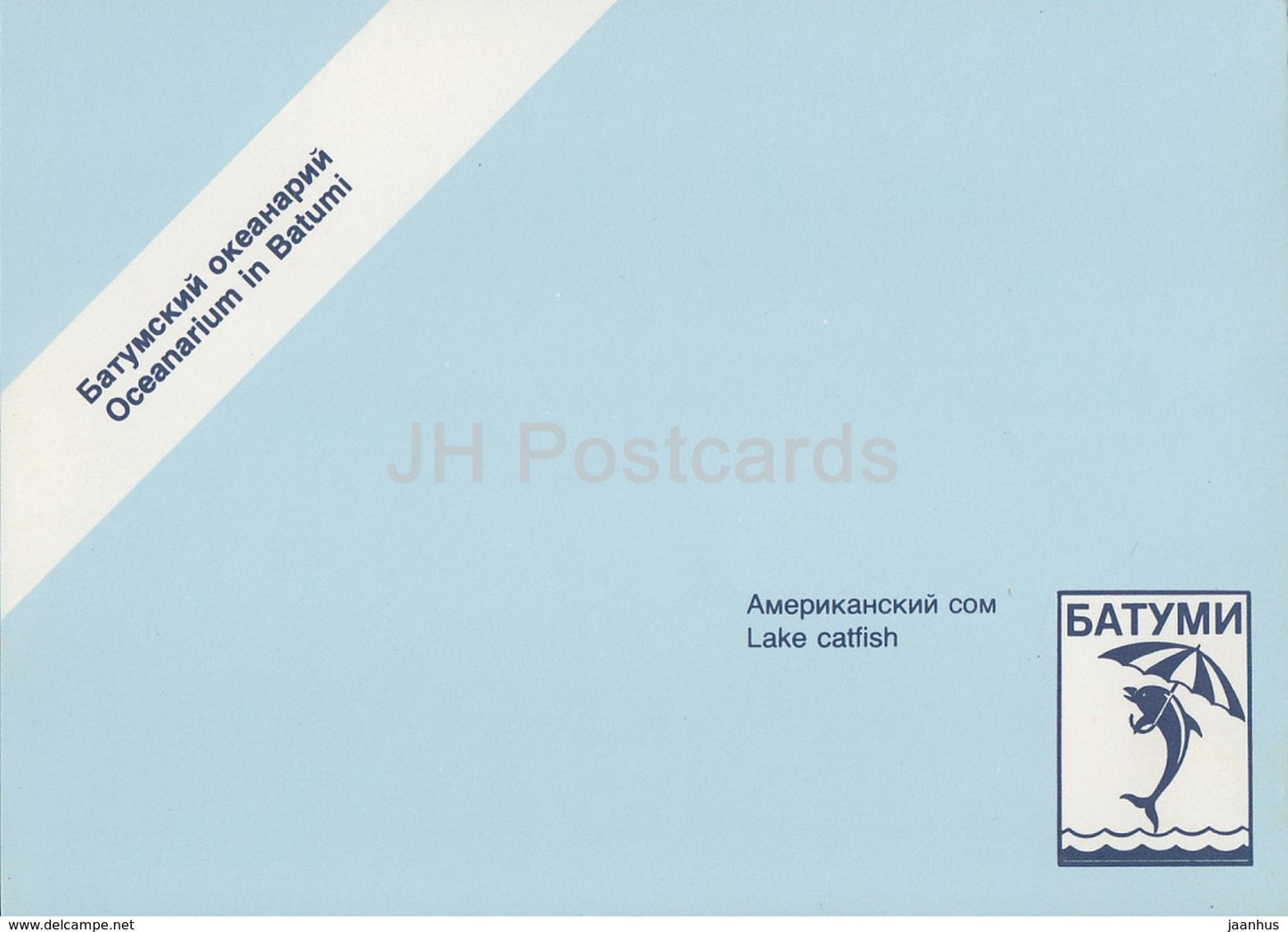 Brown bullhead - fish - Oceanarium in Batumi - 1989 - Georgia USSR - unused - JH Postcards