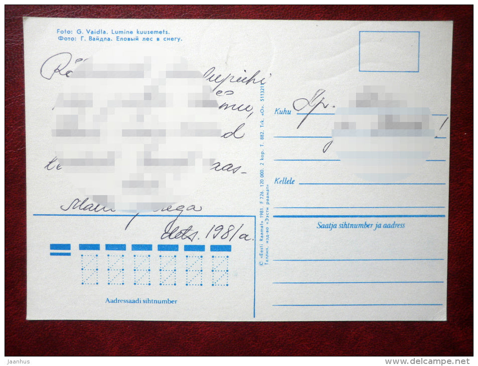 New Year Greeting card - winter Spruce Fir Forest - 1981 - Estonia USSR - used - JH Postcards