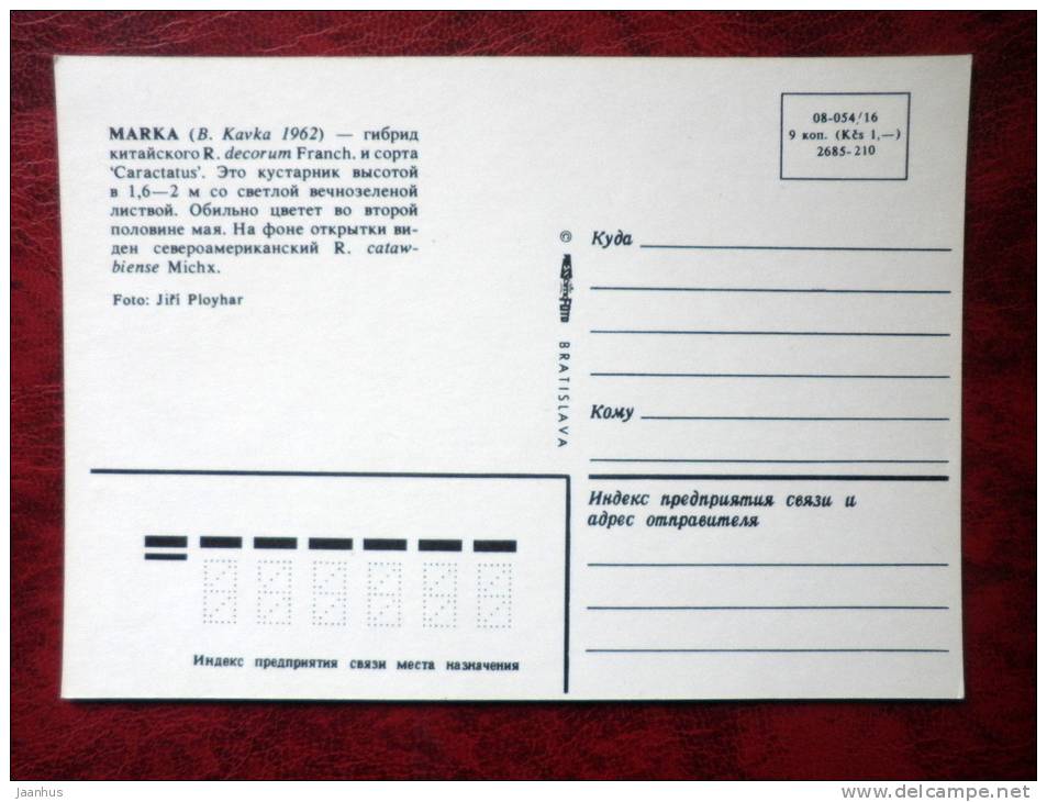 rhododendron - Marka - flowers - Czechoslovakia - unused - JH Postcards