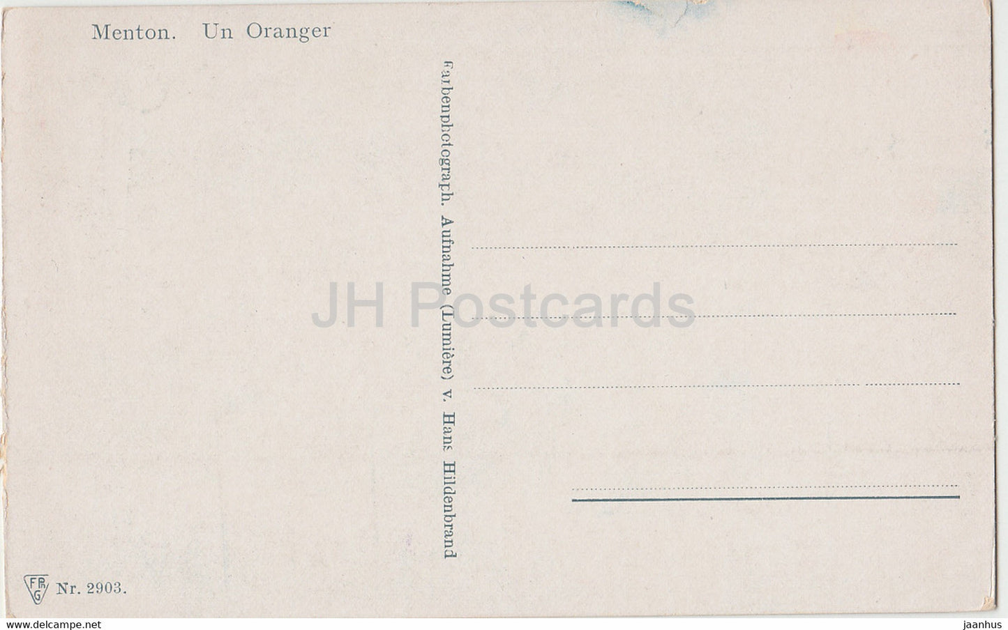 Menton - Un Oranger - 2903 - alte Postkarte - Frankreich - unbenutzt