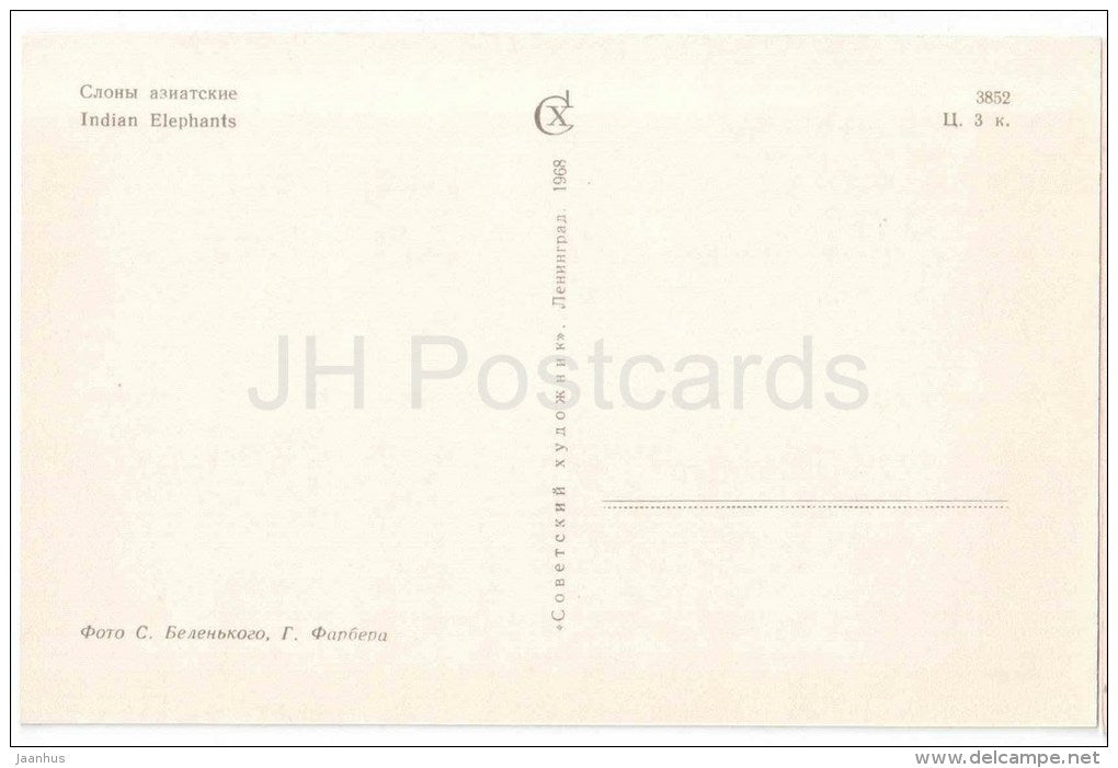 Indian Elephants - Leningrad Zoo - 1968 - Russia USSR - unused - JH Postcards