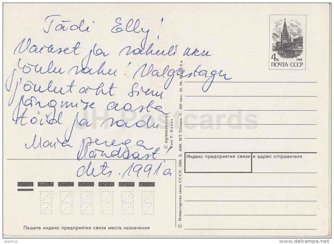 New Year Greeting card - cones - nuts - postal stationery - 1990 - Estonia USSR - used - JH Postcards