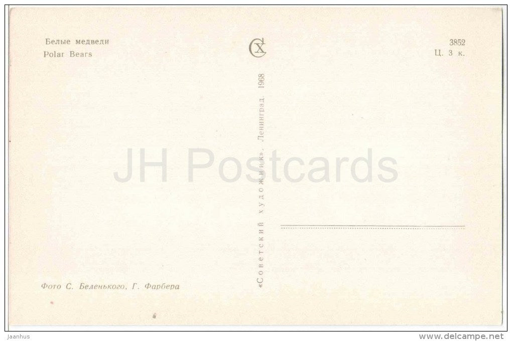 Polar Bear , Ursus maritimus - Leningrad Zoo - 1968 - Russia USSR - unused - JH Postcards