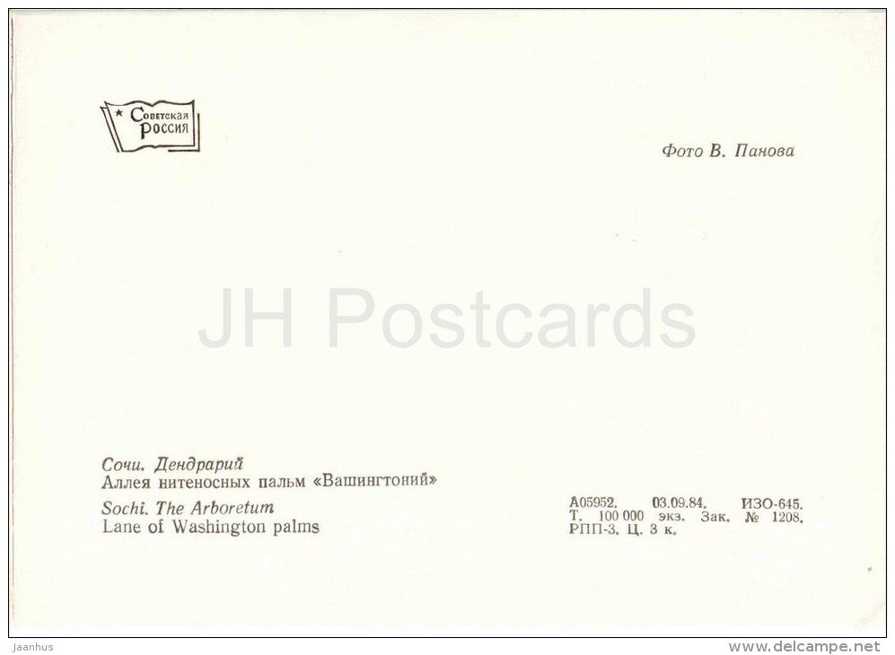 Lane of Washington Palms - Arboretum - Dendrarium - Botanical Garden - Sochi - 1985 - Russia USSR - unused - JH Postcards