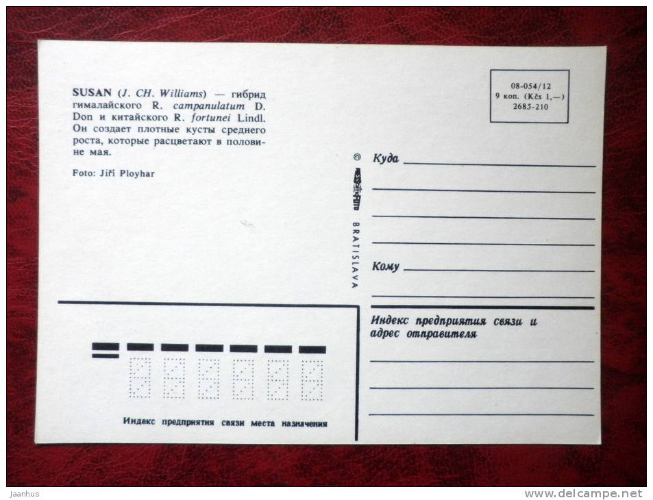 rhododendron - Susan - flowers - Czechoslovakia - unused - JH Postcards