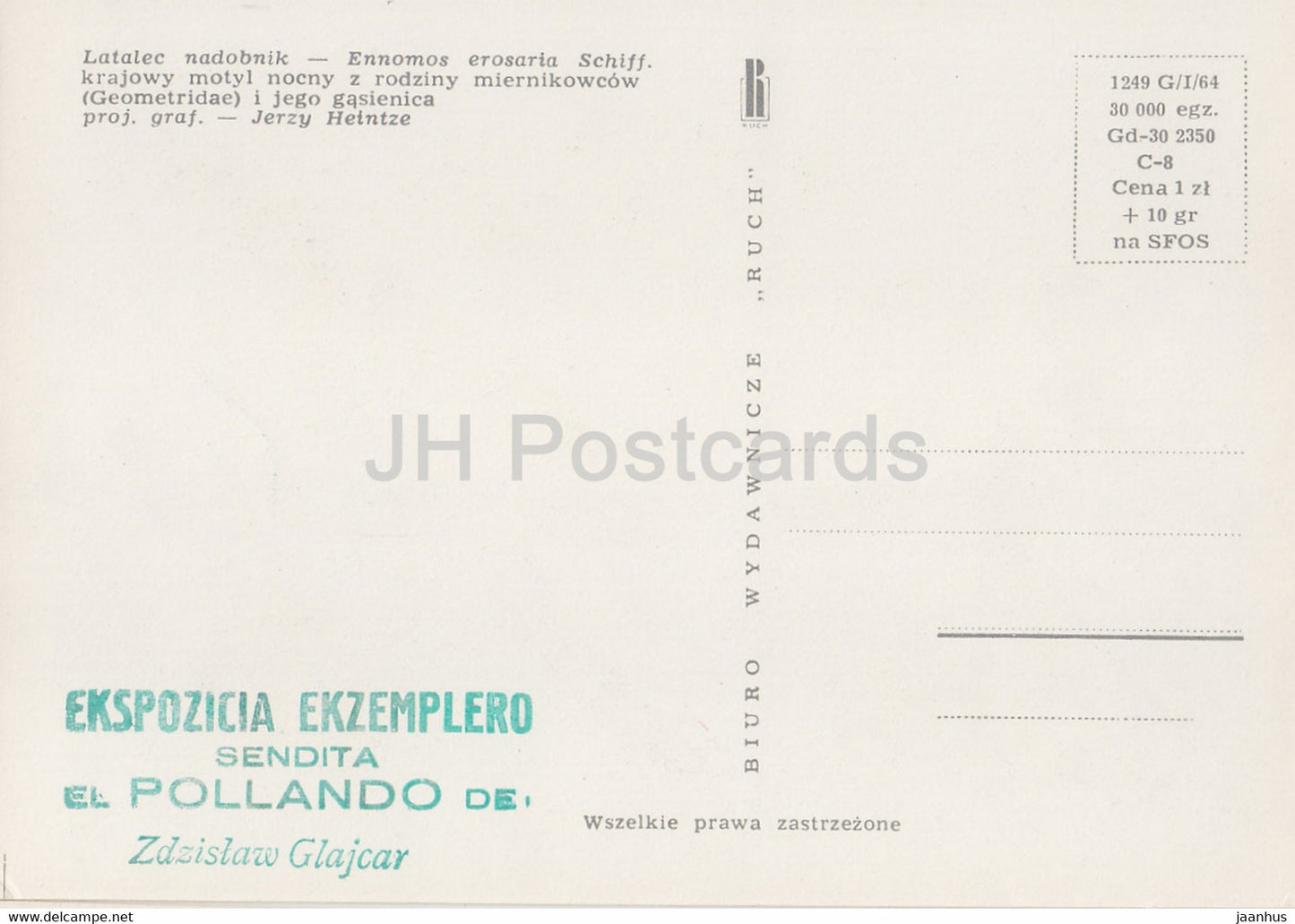 Latalec Nadobnik - Ennomos erosaria - moth - insects - illustration - Poland - unused