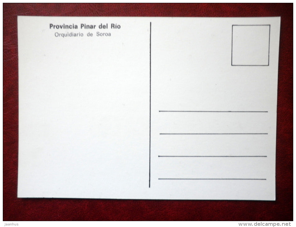 Orquidiario de Soroa - Soroa Orchids - flowers - provincia Pinar del Rio - Cuba - unused - JH Postcards