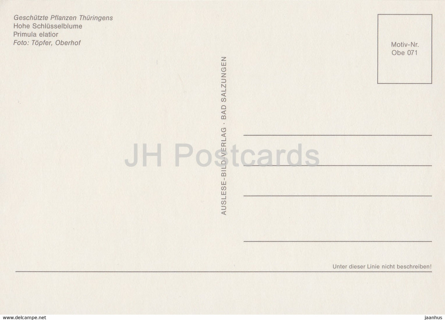 Oxlip - Primula elatior - Geschutzte Pflanzen - Protected plants - DDR Germany - unused