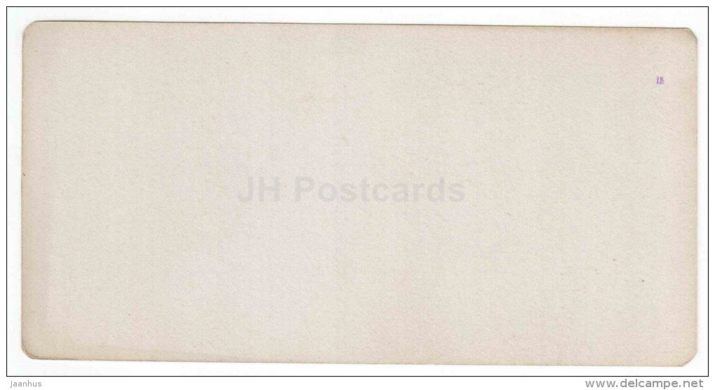 Poplar Alley - Hotel Russia - Kislovodsk - Caucasus - Russia - Russie - stereo photo - stereoscopique - old photo - JH Postcards
