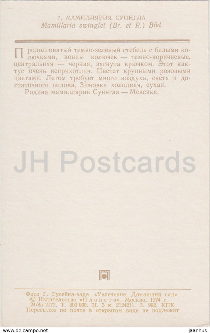 Mammillaria swinglei - cactus - fleurs - 1974 - Russie URSS - inutilisé