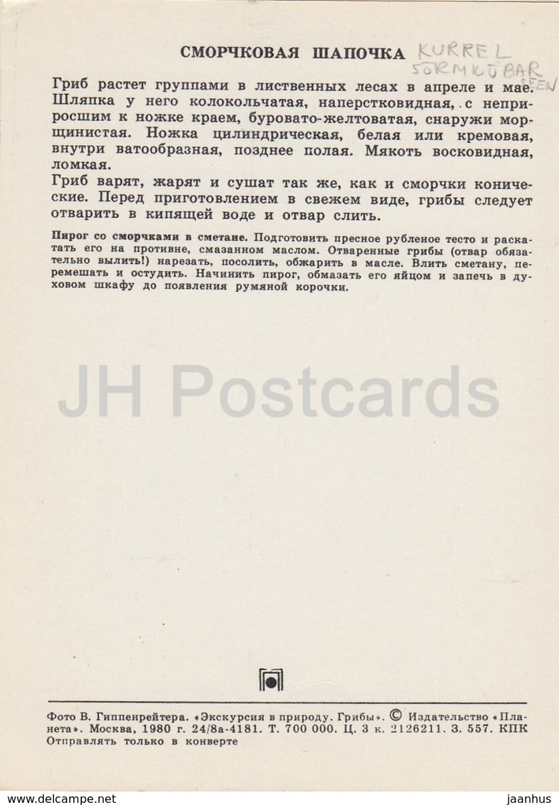 The early morel mushroom - Verpa bohemica - Mushrooms - 1980 - Russia USSR - unused - JH Postcards