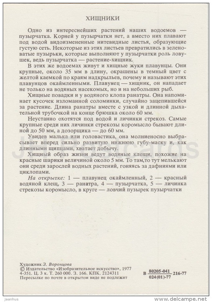 Water beetle - Water Mite - Ranatra - Life in Water - 1977 - Russia USSR - unused - JH Postcards