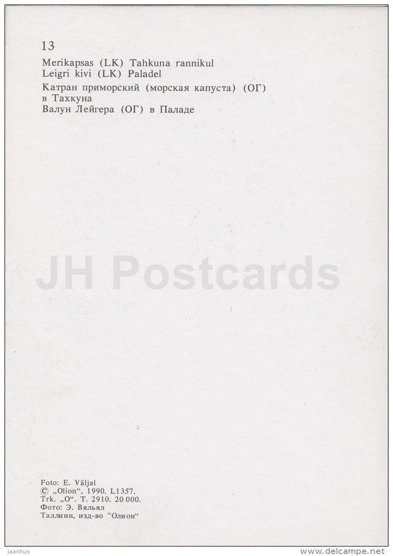 Sea kale at Tahkuna coast - Leigri stone , the sacrificial stone - Hiiumaa island - 1990 - Estonia USSR - unused - JH Postcards