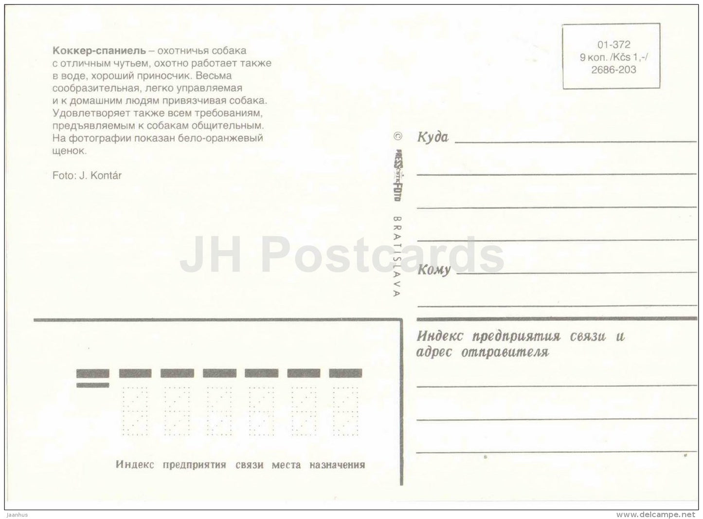 Cocker Spaniel - dog - Russia USSR - unused - JH Postcards