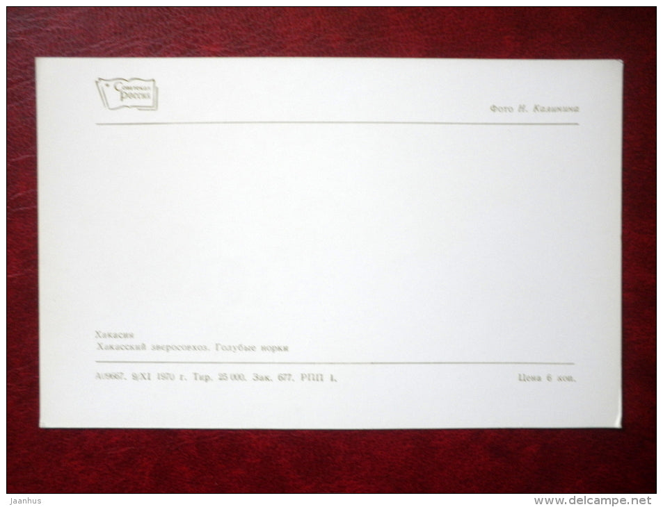 fur farms - mink - Hakasiya - Khakassia - 1970 - Russia USSR - unused - JH Postcards