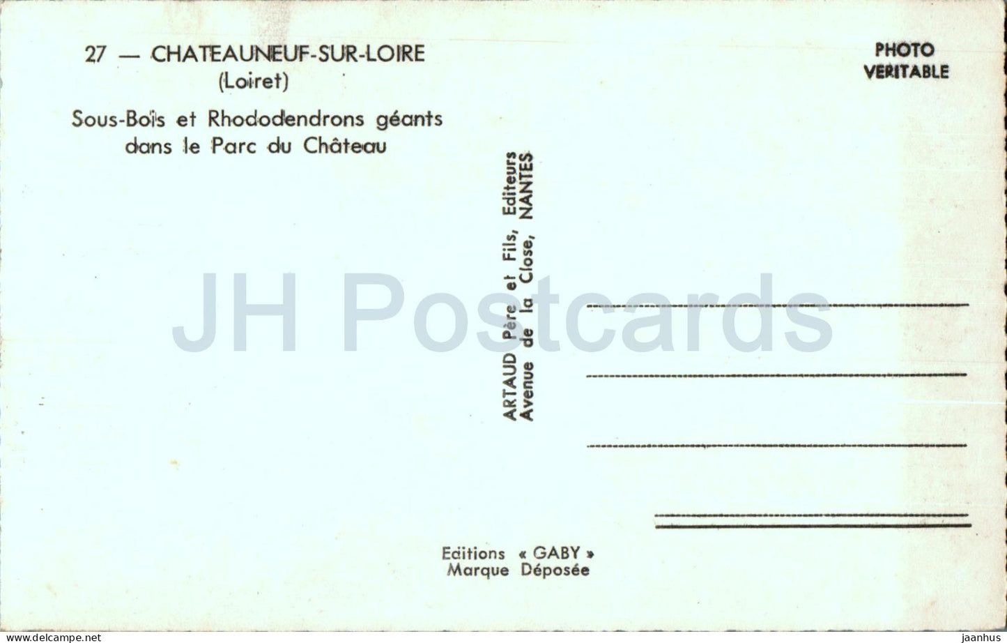 Chateauneuf Sur Loire - Sous Bois et Rhododendrons geants dans le Parc du Chateau - flowers - 27 - France - unused