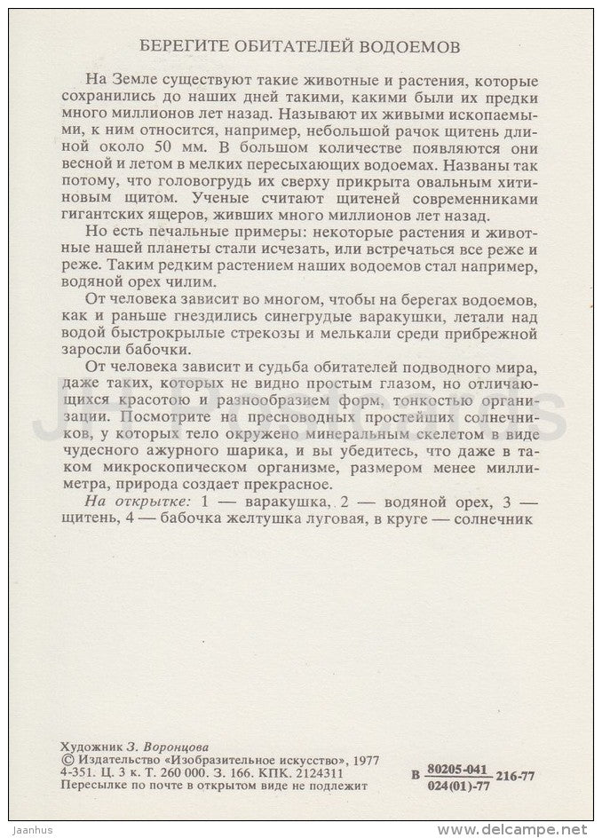 Bluethroat , bird - Tadpole shrimps - Colias , butterfly - Life in Water - 1977 - Russia USSR - unused - JH Postcards