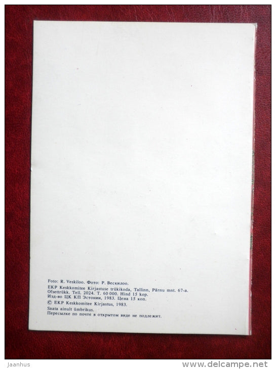 New Year Greeting card - decorations - flowers - 1983 - Estonia USSR - used - JH Postcards