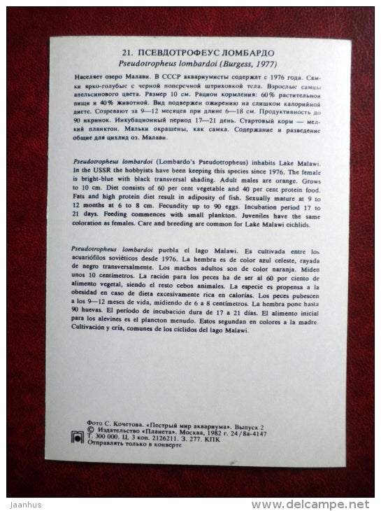 Kenyi Cichlid - Pseudotropheus lombardoi - aquarium fishes - 1982 - Russia USSR - unused - JH Postcards