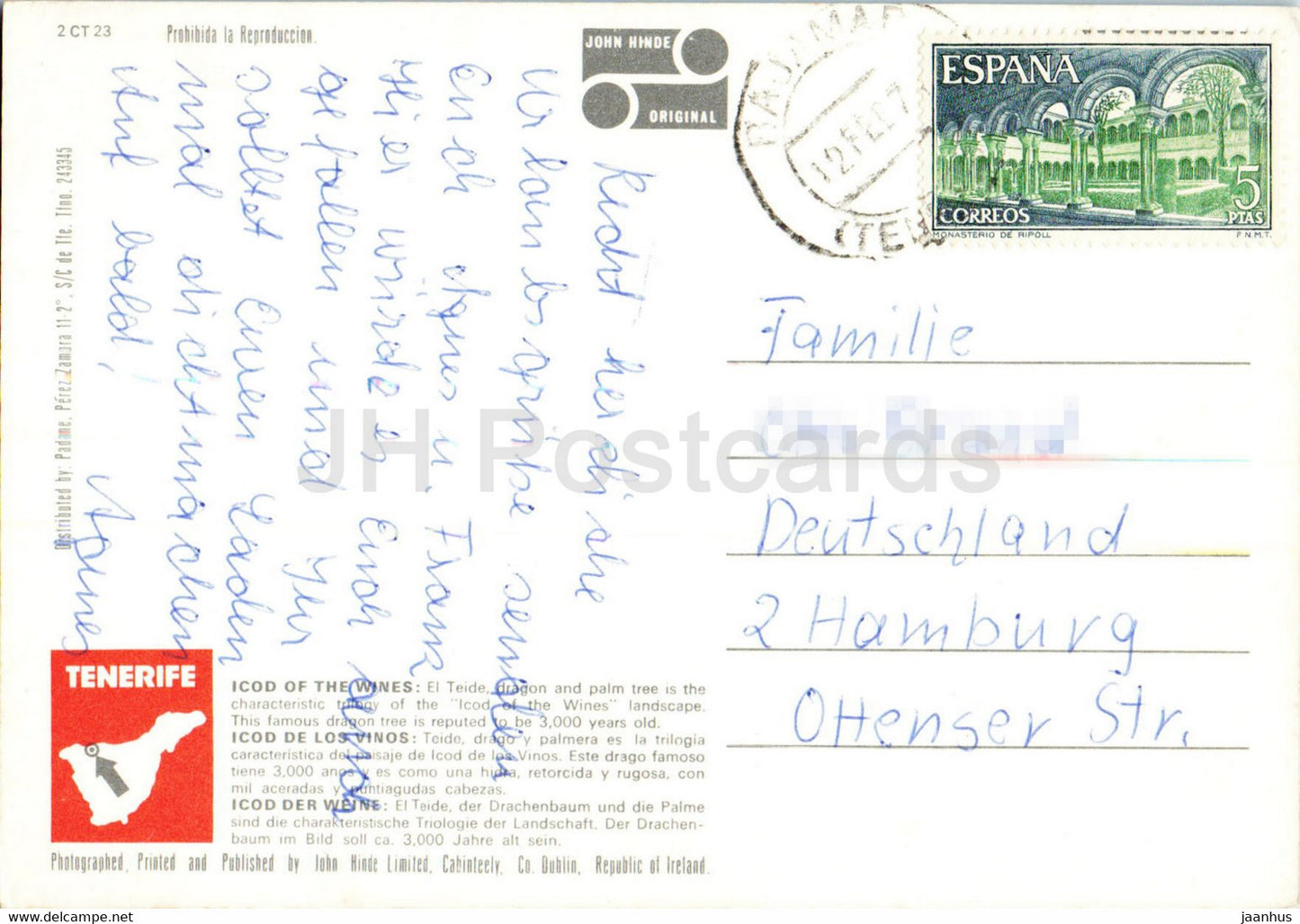 Icod des Vins - Îles Canaries - Tenerife - dragonnier - Espagne - d'occasion