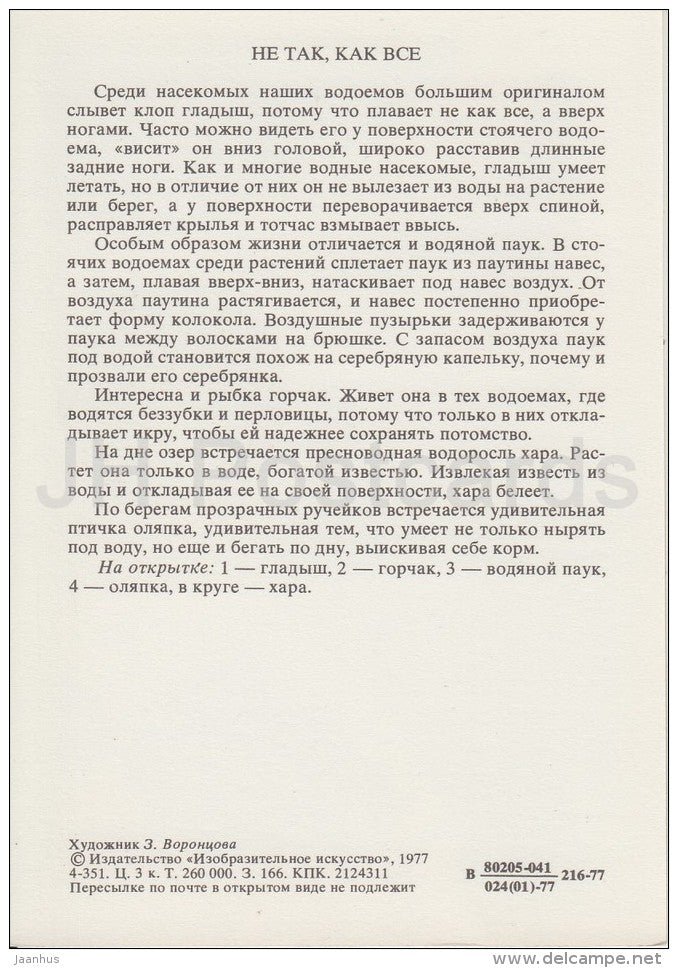 Amur Bitterling , fish - White-throated dipper , bird - Notonecta - Life in Water - 1977 - Russia USSR - unused - JH Postcards