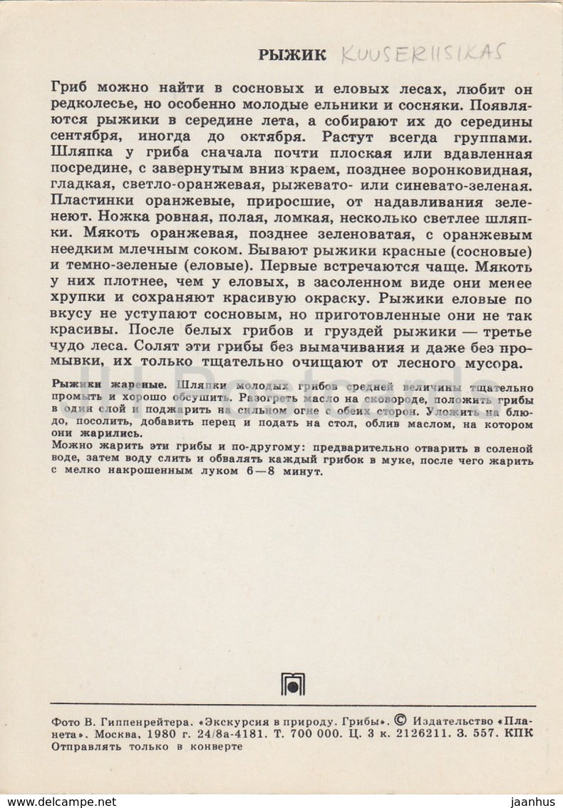 Saffron milk cap mushroom - Lactarius sect. Deliciosi - Mushrooms - 1980 - Russia USSR - unused - JH Postcards