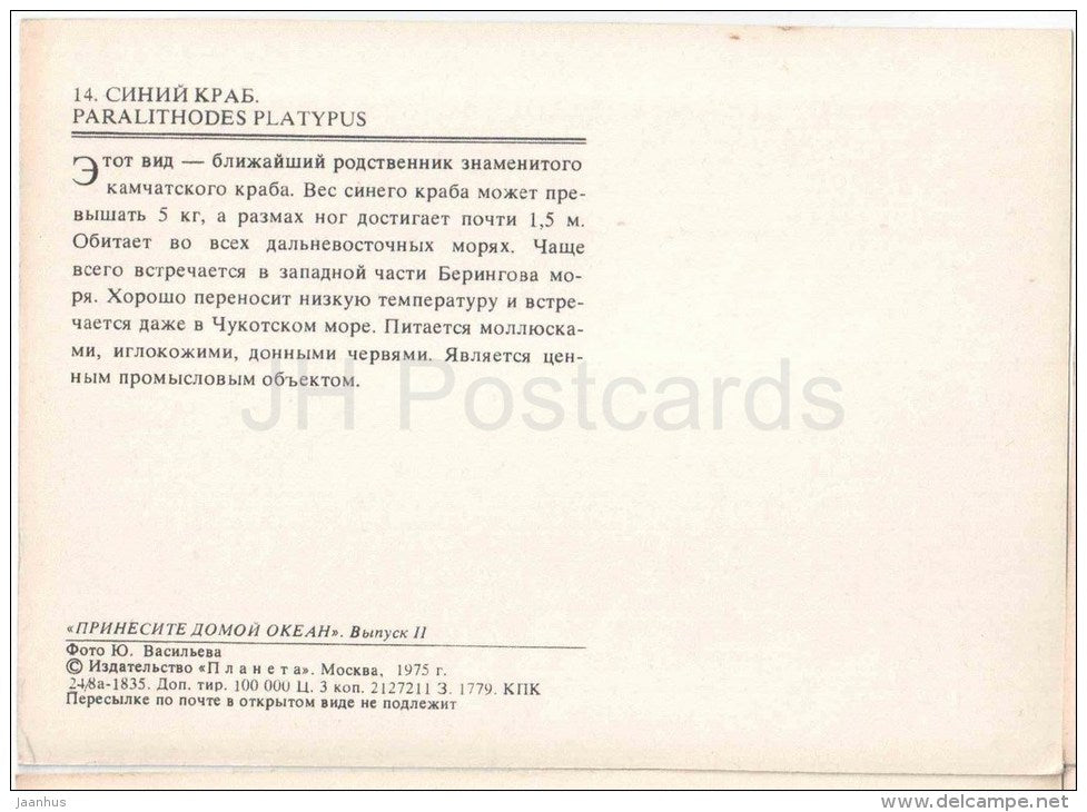 The Blue King Crab - Paralithodes platypus - carb - 1975 - Russia USSR - unused - JH Postcards