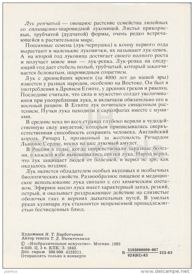 Onion - Spice Plants - 1983 - Russia USSR - unused - JH Postcards