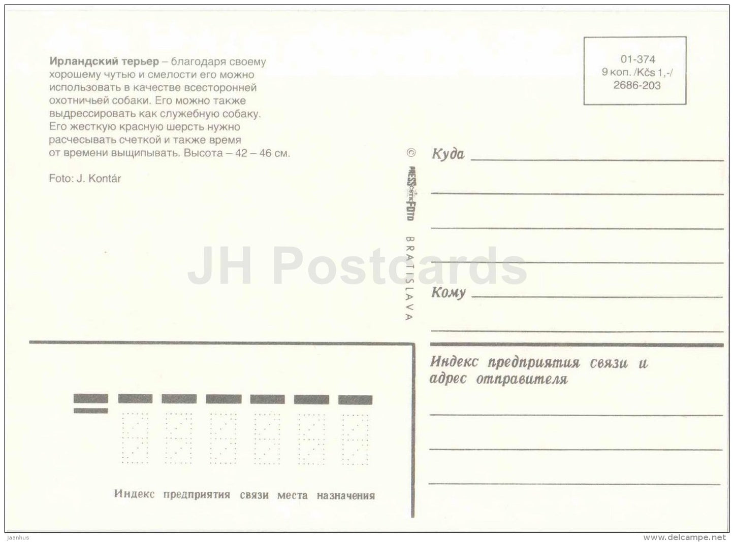 Irish terrier - dog - Russia USSR - unused - JH Postcards