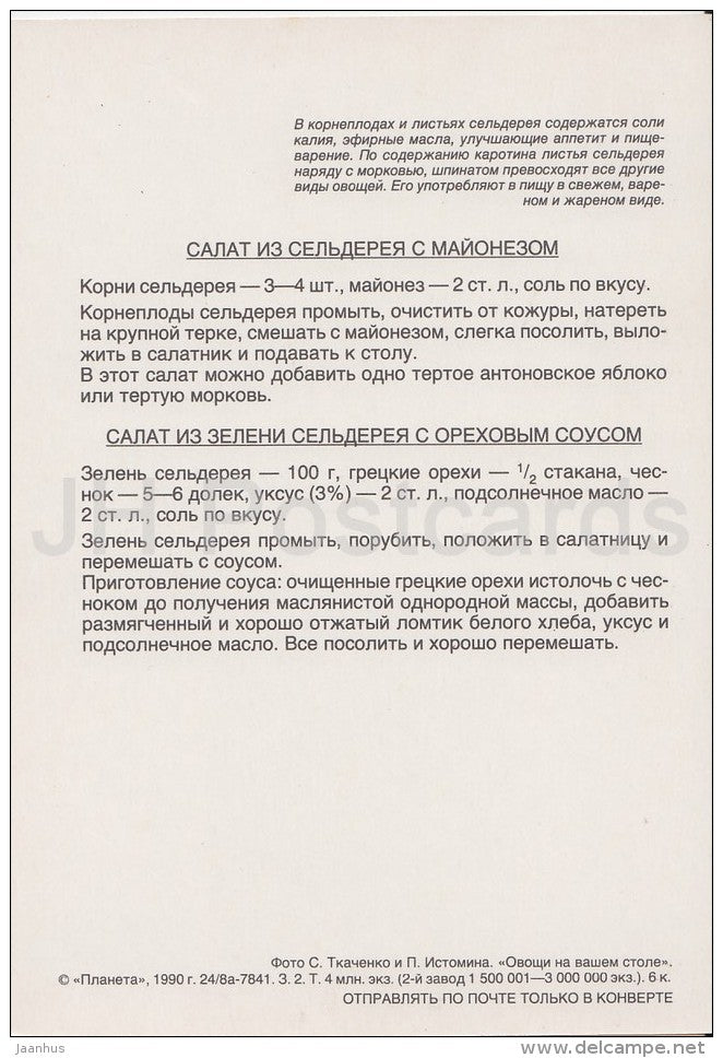 Celery Salad - Vegetable Dishes - recipes - 1990 - Russia USSR - unused - JH Postcards