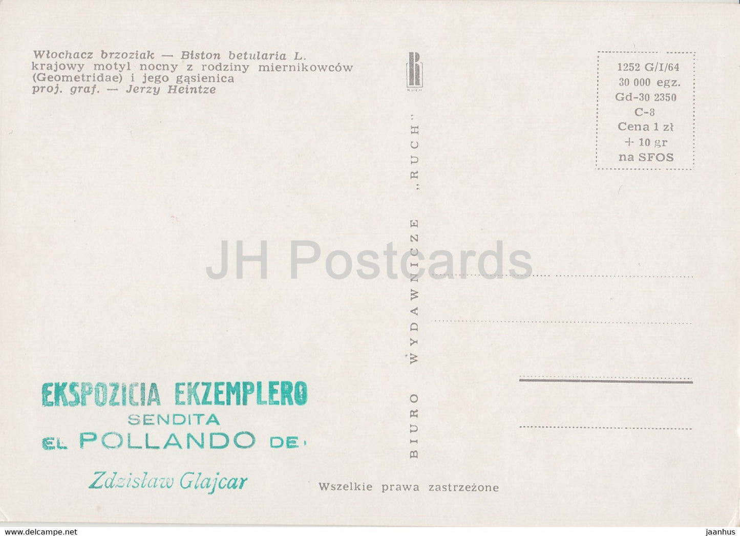 Wlochacz brzoziak - Papillon poivré - Biston betularia - papillon de nuit - insectes - illustration - Pologne - inutilisé