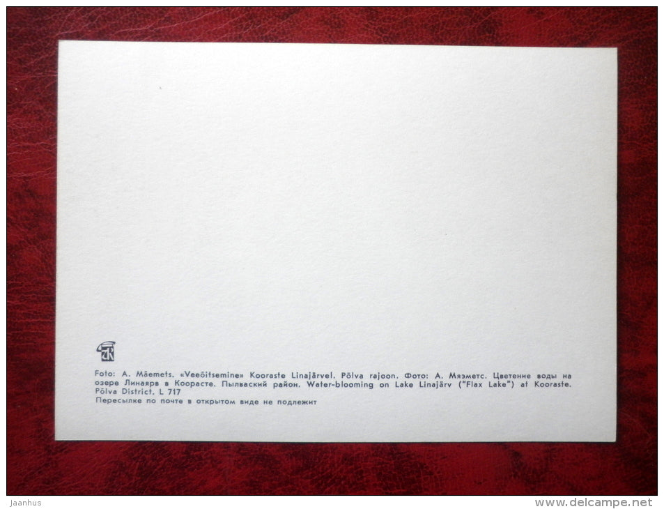 Lake Linajärv at Kooraste - Estonian lakes - 1979 - Estonia - USSR - unused - JH Postcards