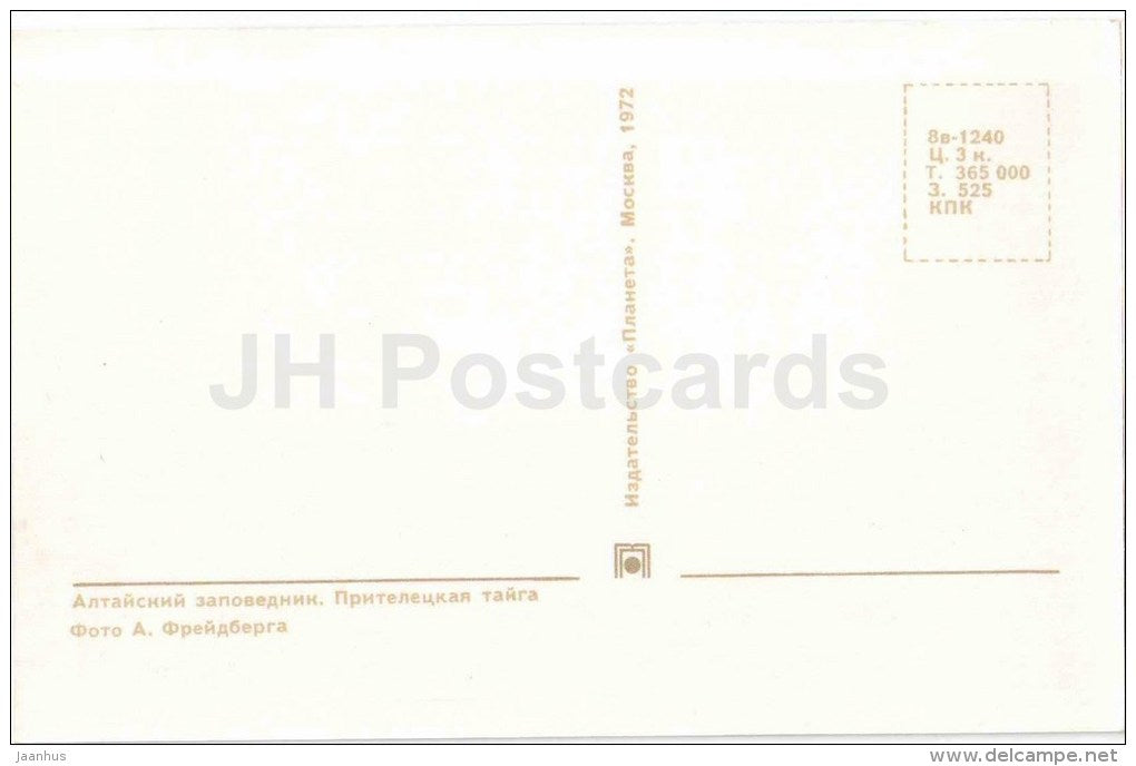 Taiga - Lake Teletskoye - Altay - 1972 - Russia USSR - unused - JH Postcards