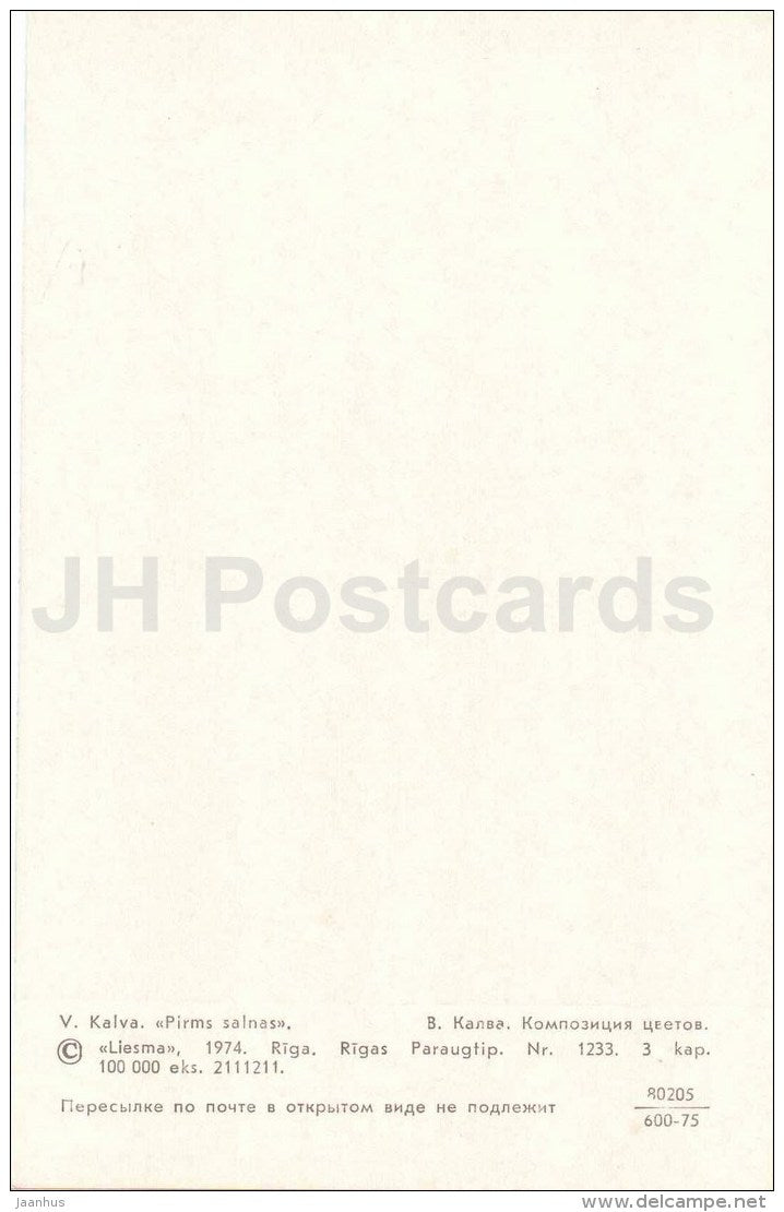 carnation - pumpkin - flowers - ikebana - flower composition - 1974 - Latvia USSR - unused - JH Postcards