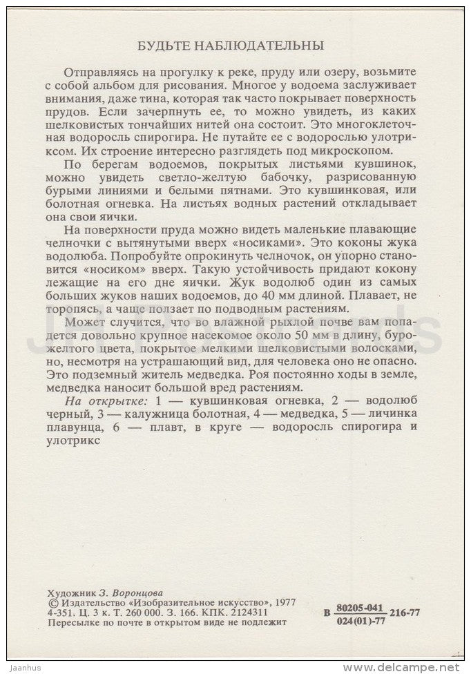 The brown china mark , moth - Hydrophilus piceus - Mole cricket - Life in Water - 1977 - Russia USSR - unused - JH Postcards