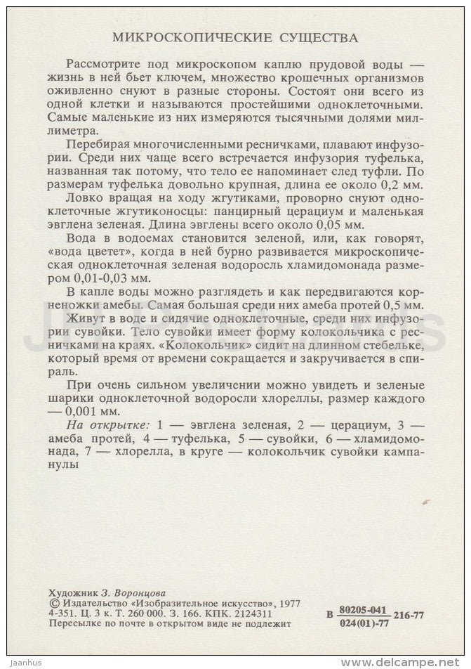 Euglena viridis - Amoeba proteus - Paramecium caudatum - Vorticella - Life in Water - 1977 - Russia USSR - unused - JH Postcards