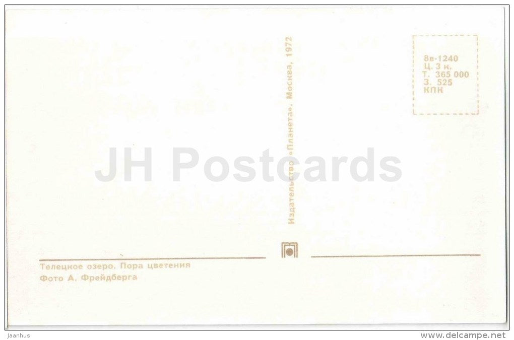 flowering time - Lake Teletskoye - Altay - 1972 - Russia USSR - unused - JH Postcards