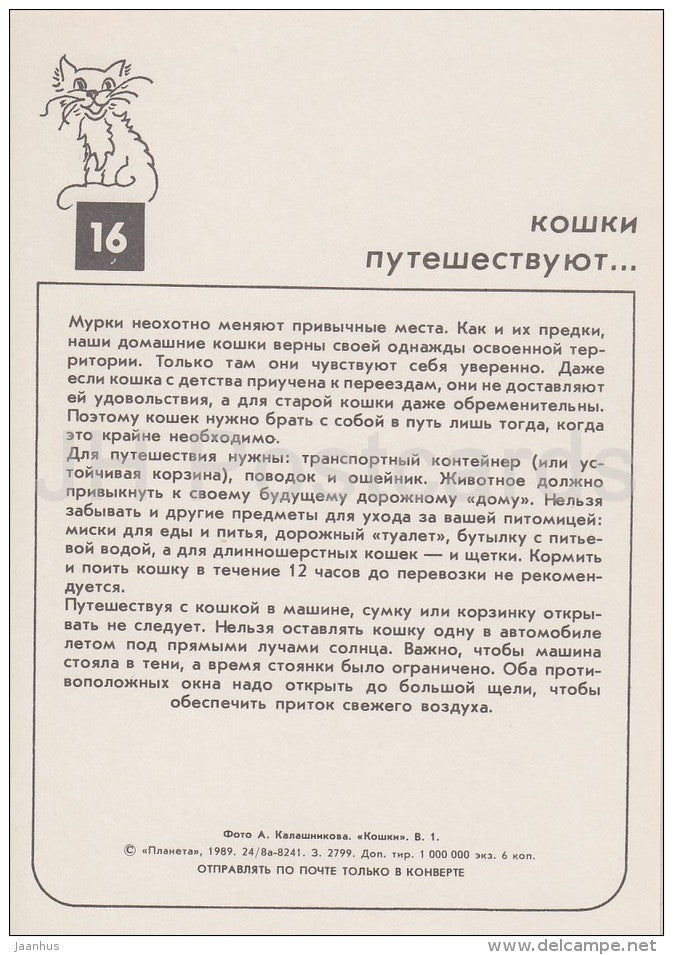 Colorpoint Longhair Cat - cats - Russia USSR - 1989 - unused - JH Postcards