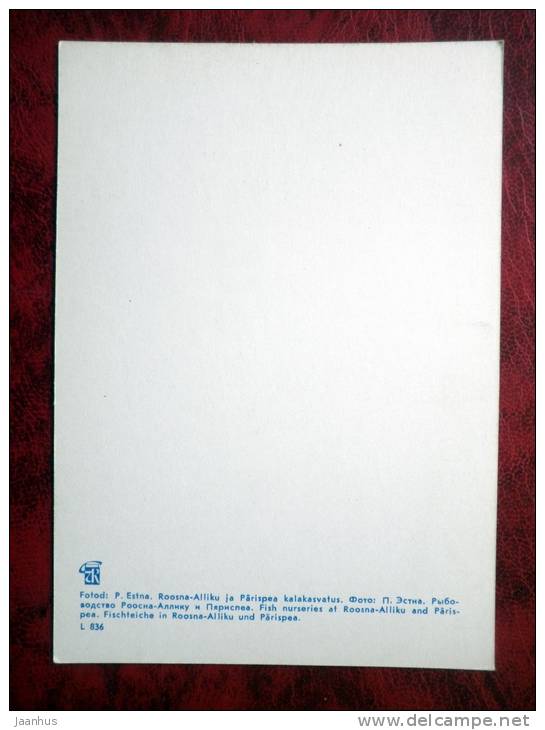 Model Collective Fishery named after Kirov - Fish Nurseries - Estonia - USSR - 1980 - unused - JH Postcards