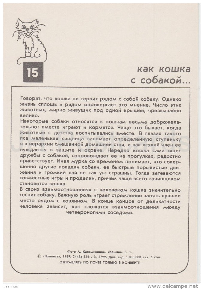 Cat and Dog - cats - Russia USSR - 1989 - unused - JH Postcards