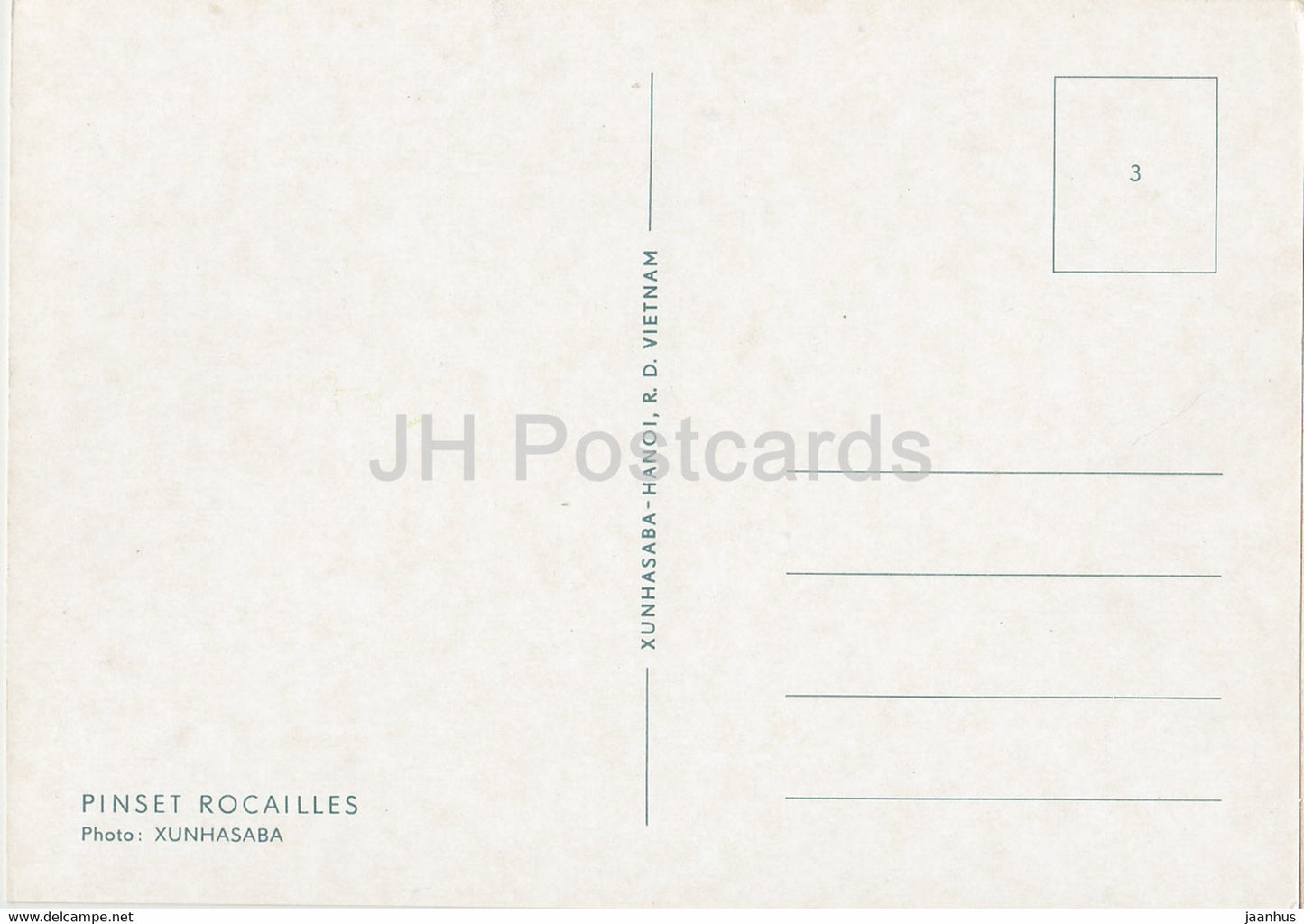 Pinset Rocailles - Bonsai tree - plants - Vietnam - unused