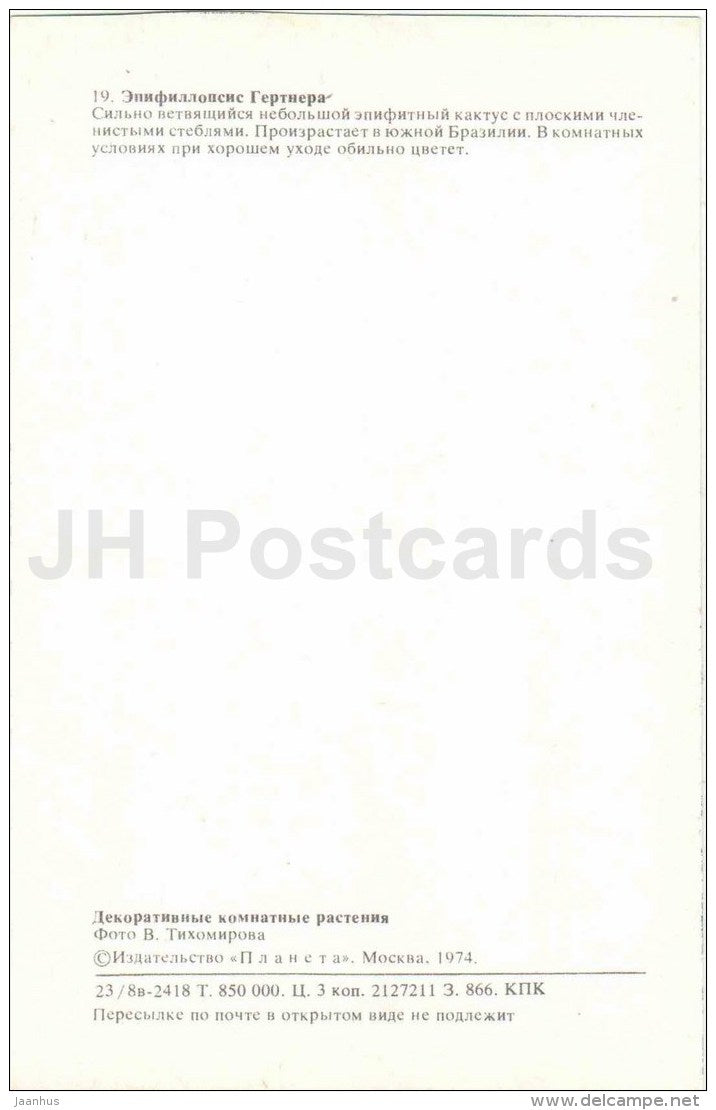 Gertner´s Epiphyllum - flowers - 1974 - Russia USSR - unused - JH Postcards
