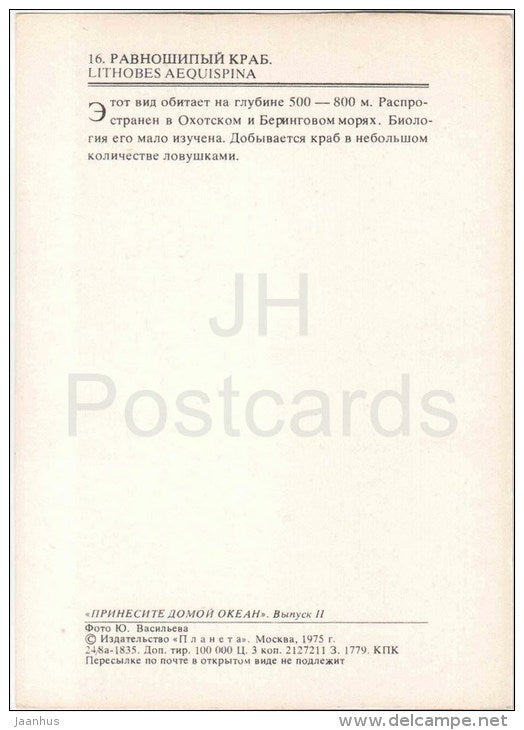 Lithobes aequispina - crab - 1975 - Russia USSR - unused - JH Postcards