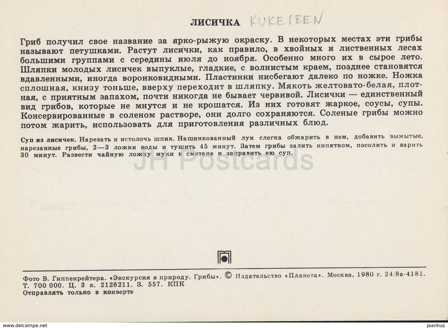 Chanterelle mushroom - Cantharellus cibarius - Mushrooms - 1980 - Russia USSR - unused - JH Postcards