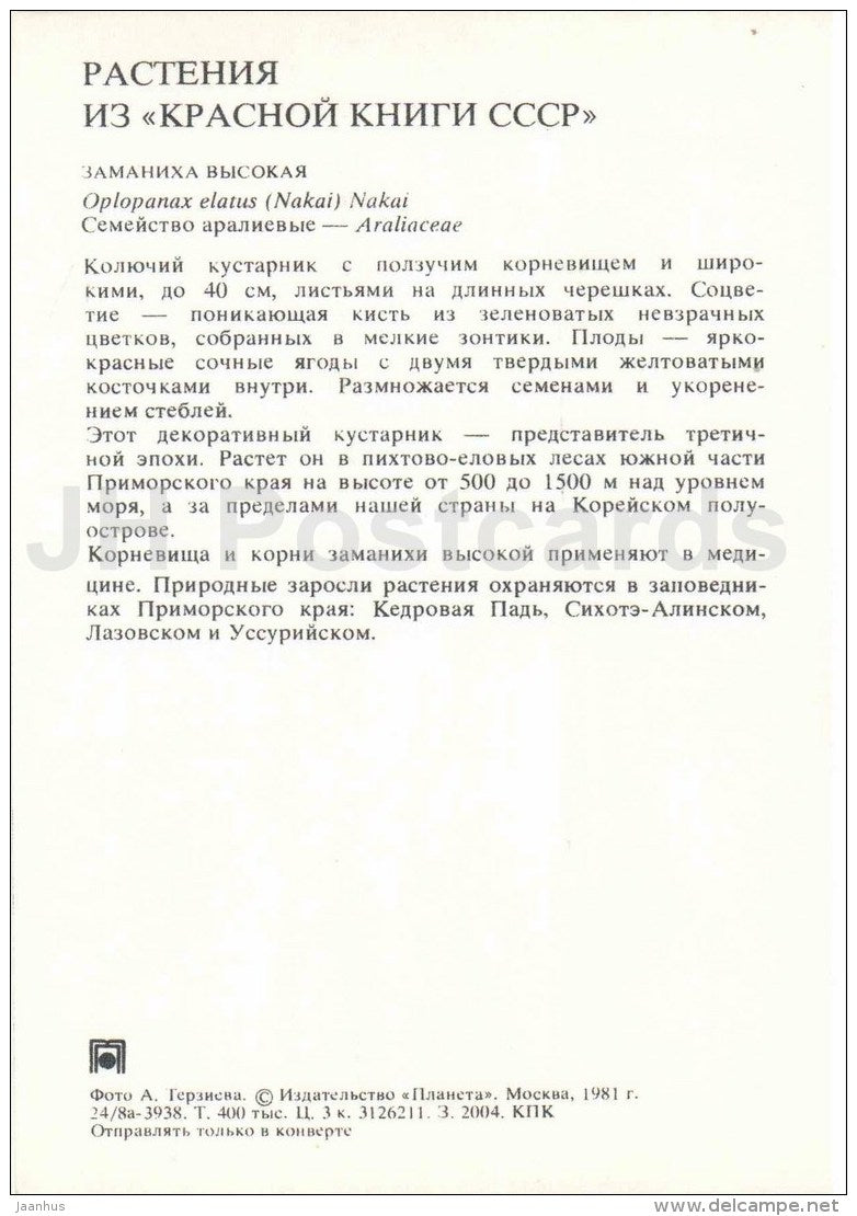 Oplopanax elatus - Endangered Plants of USSR - nature - 1981 - Russia USSR - unused - JH Postcards