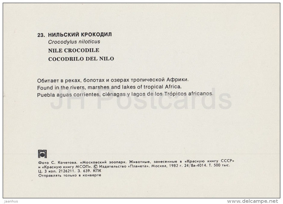 Nile crocodile - Crocodylus niloticus - Moscow Zoo - 1982 - Russia USSR - unused - JH Postcards
