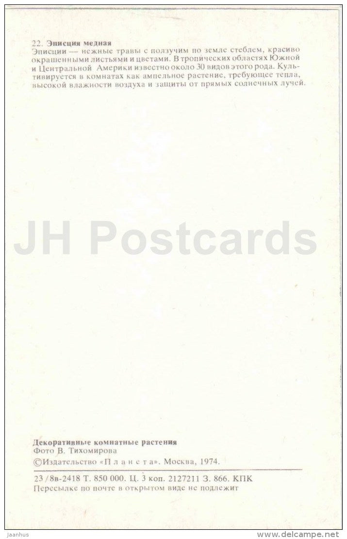 Copper Episcia - flowers - 1974 - Russia USSR - unused - JH Postcards