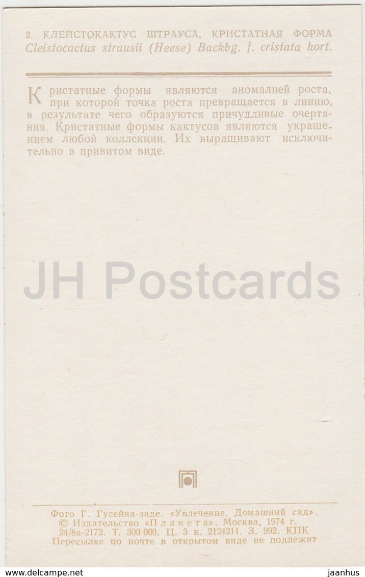 Silver Torch - Cleistocactus strausii - cactus - fleurs - 1974 - Russie URSS - inutilisé