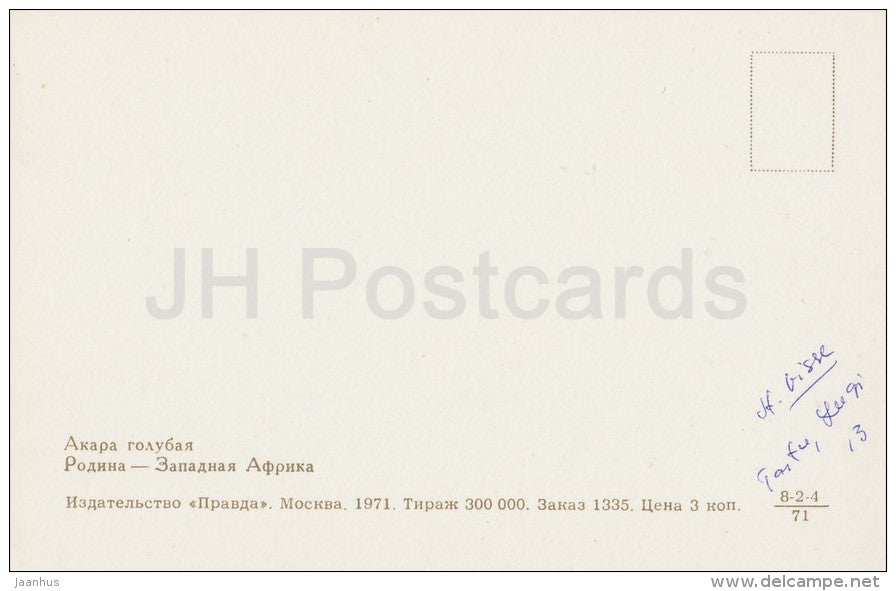 Blue acara , Andinoacara pulcher - Aquarium Fish - Russia USSR - 1971 - unused - JH Postcards