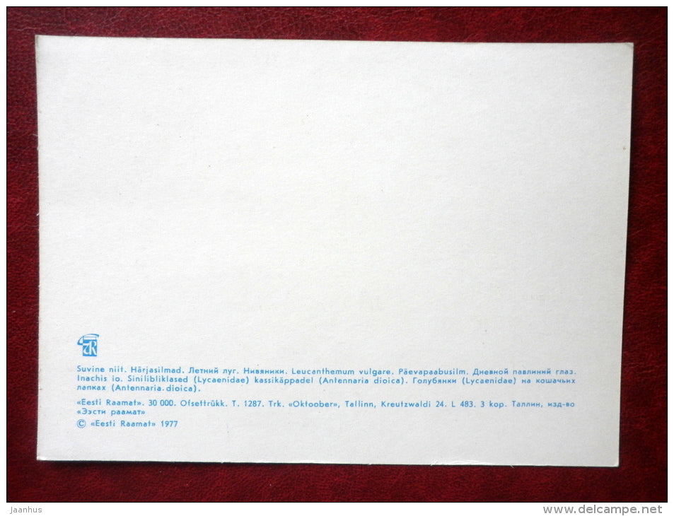 Lycaenidae - Inachis io - European Peacock - butterflies - 1977 - Estonia USSR - unused - JH Postcards
